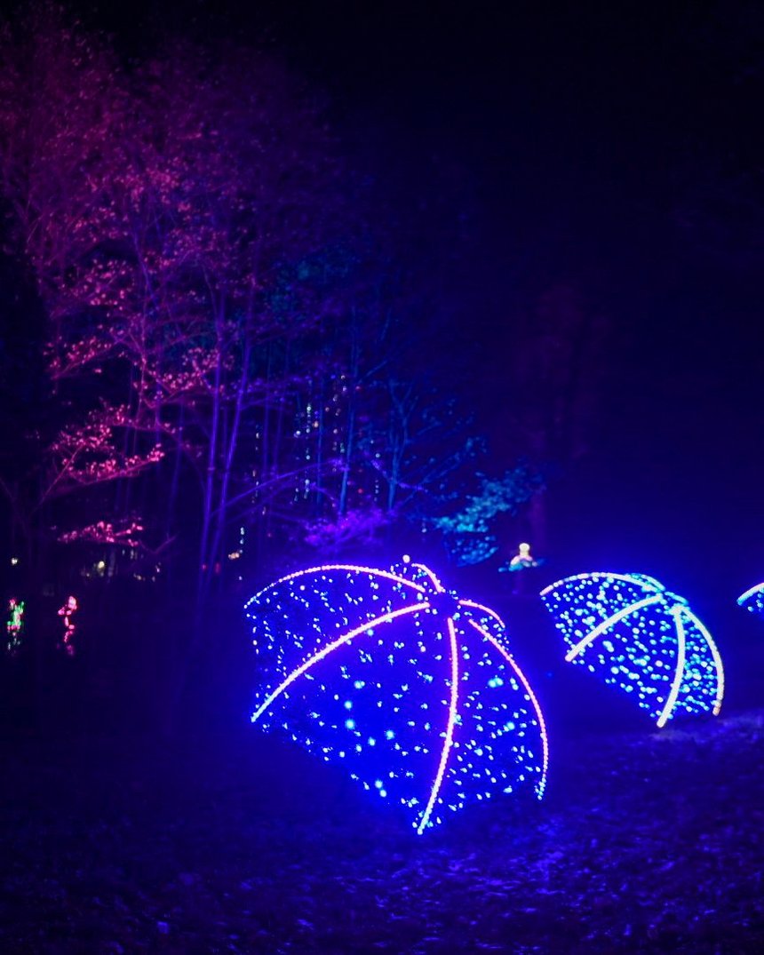 fot. Paweł Łacheta