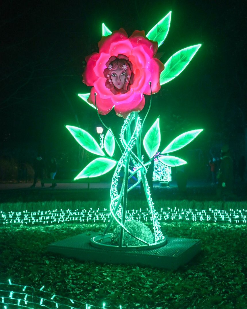 fot. Paweł Łacheta