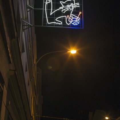 Neon z kotem, fot. Stefan Brajter