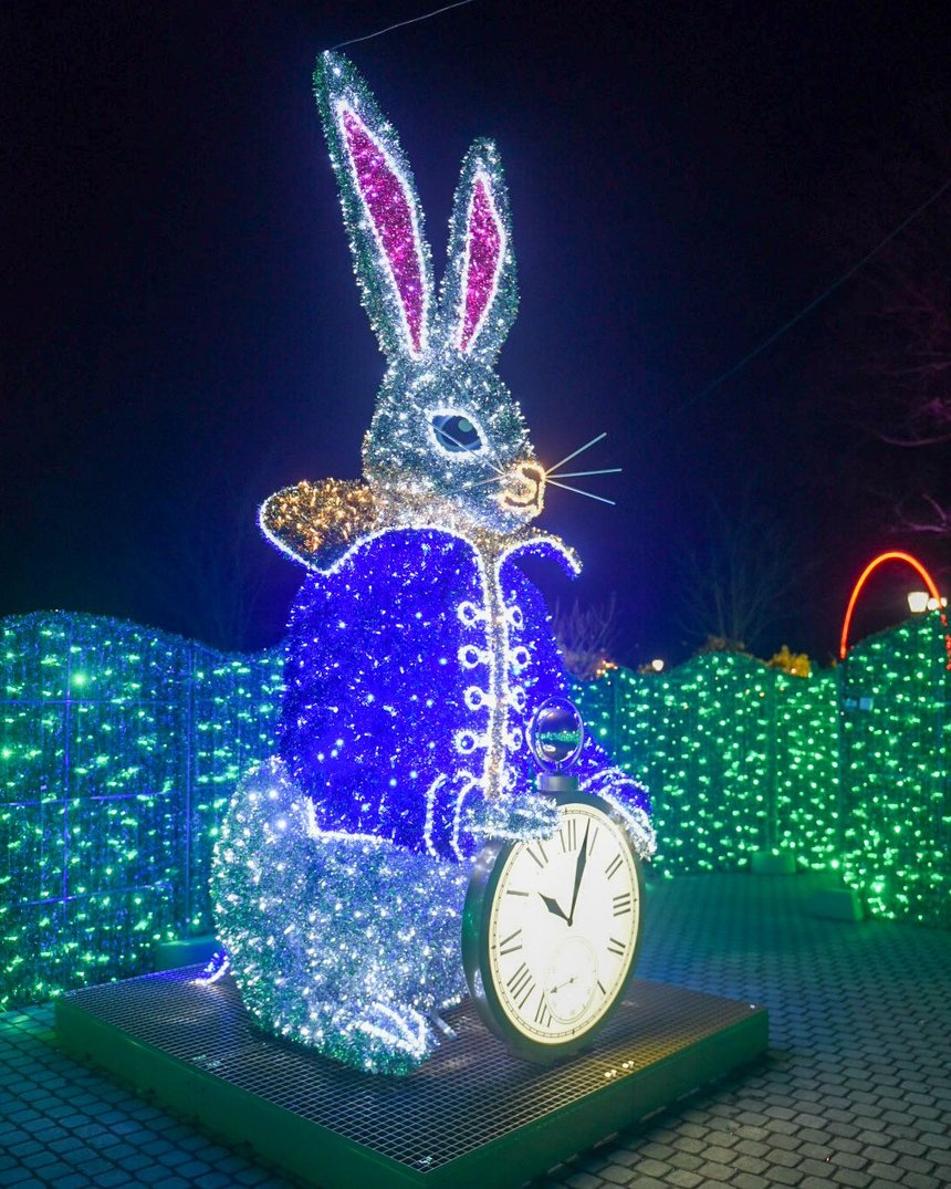 fot. Paweł Łacheta