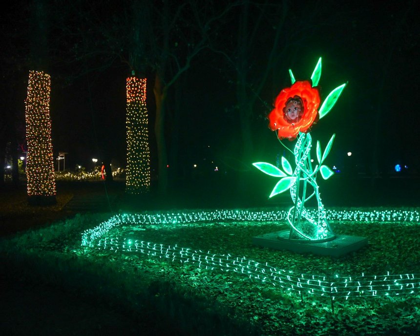 fot. Paweł Łacheta