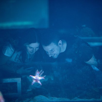 Strefa oceaniczna w Orientarium w Łodzi, fot. ŁÓDŹ.PL