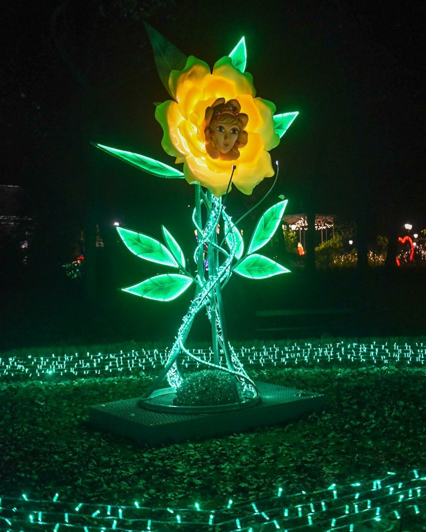 fot. Paweł Łacheta