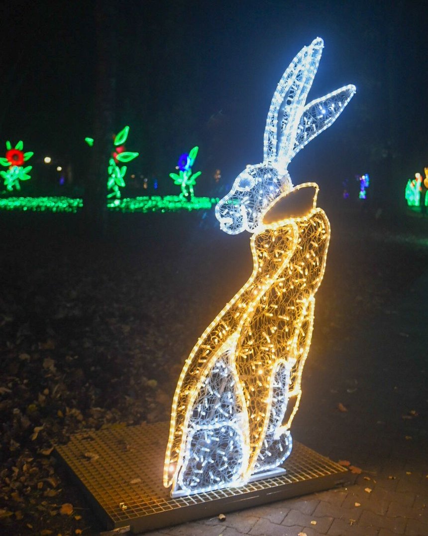 fot. Paweł Łacheta